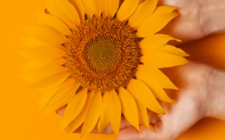 La tutela della fertilità in età evolutiva